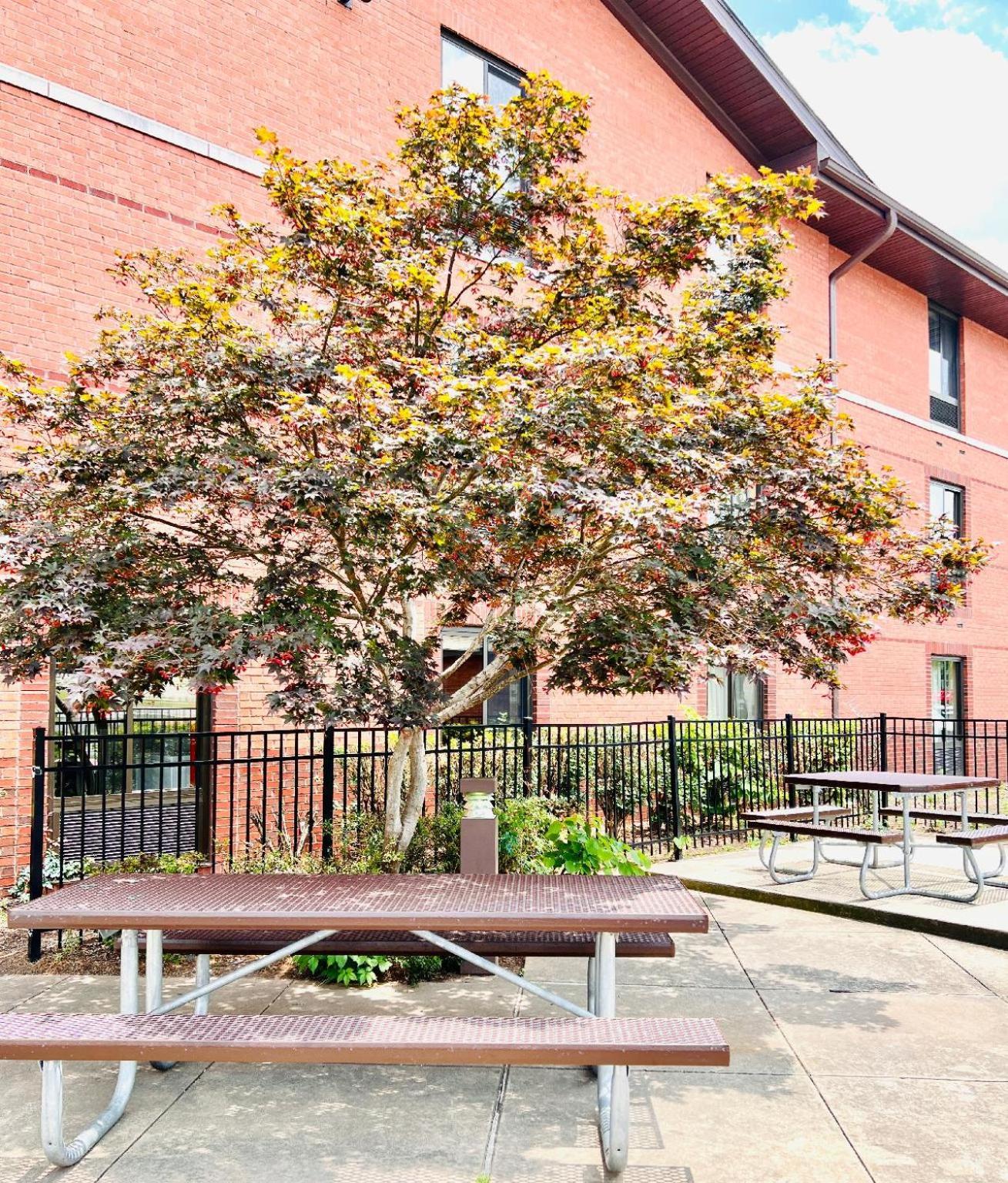 Mainstay Suites Little Rock West Near Medical Centers Exterior foto